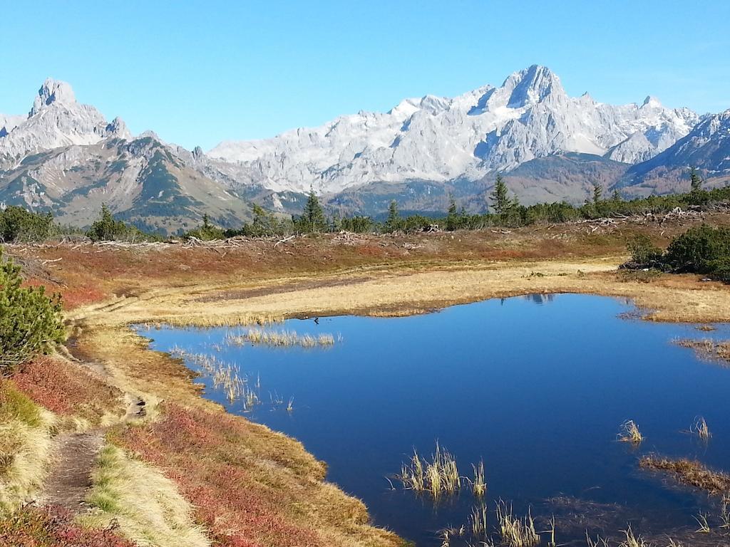 Ferienwohnung Bergblick Filzmoos Bilik gambar