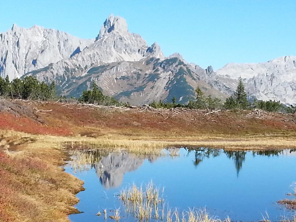 Ferienwohnung Bergblick Filzmoos Bilik gambar