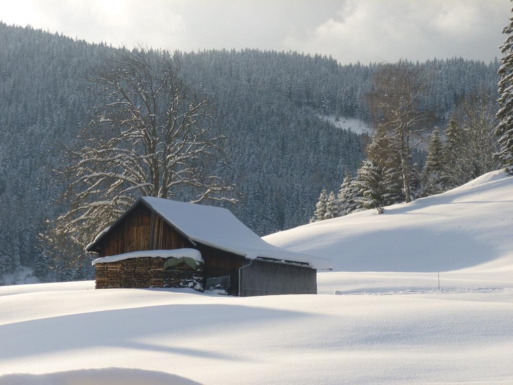 Ferienwohnung Bergblick Filzmoos Bilik gambar