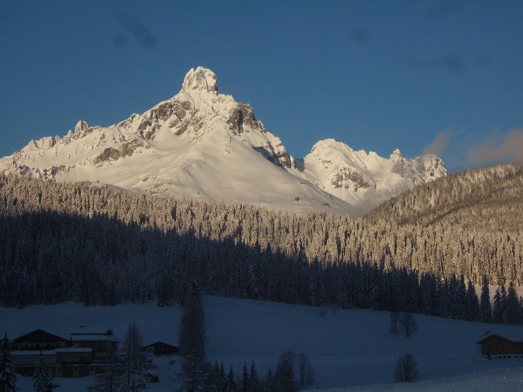 Ferienwohnung Bergblick Filzmoos Bilik gambar