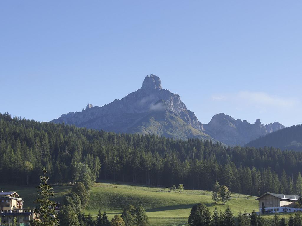 Ferienwohnung Bergblick Filzmoos Bilik gambar